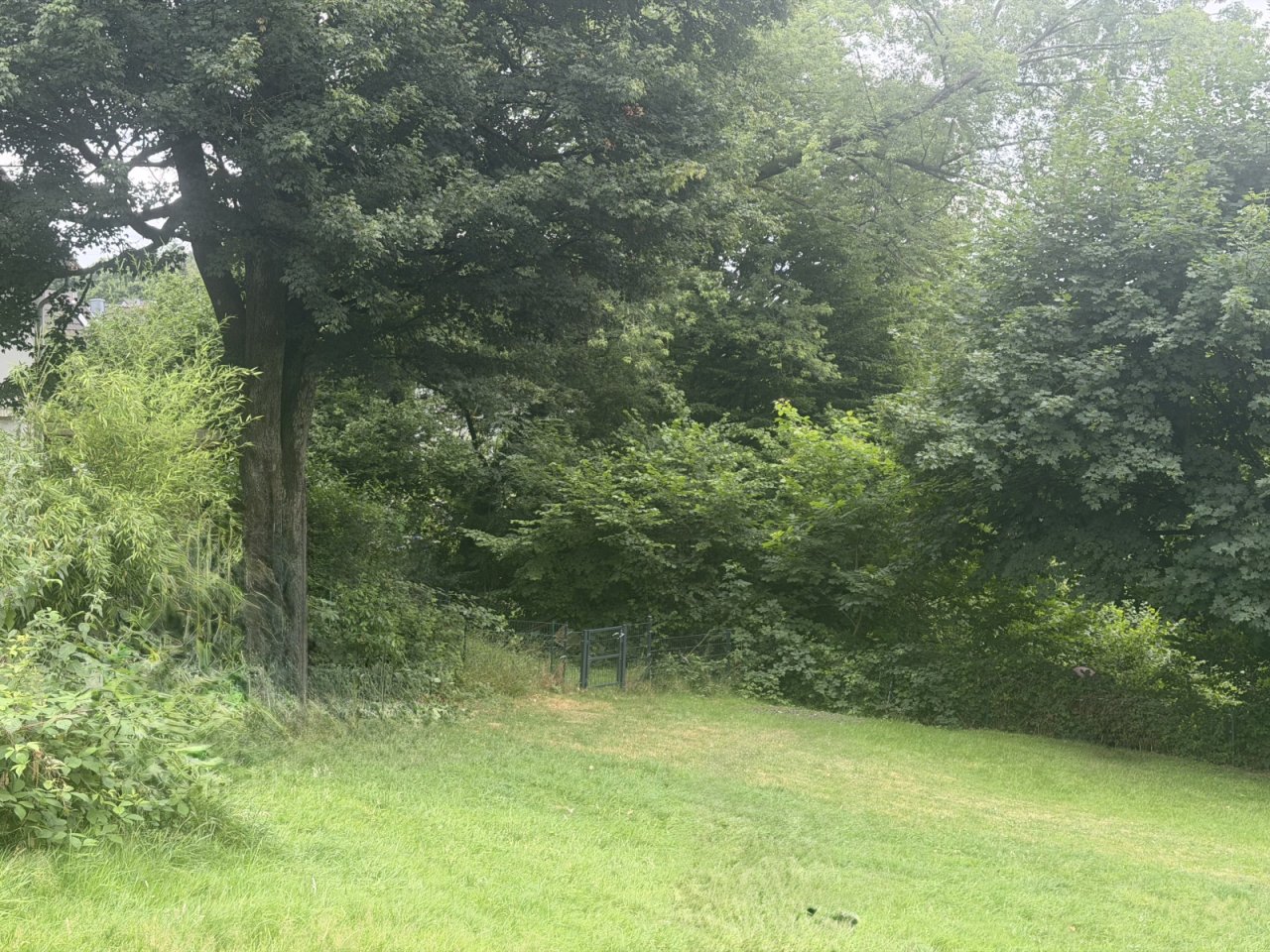 Blick aufs Grundstück Blick aufs Grundstück